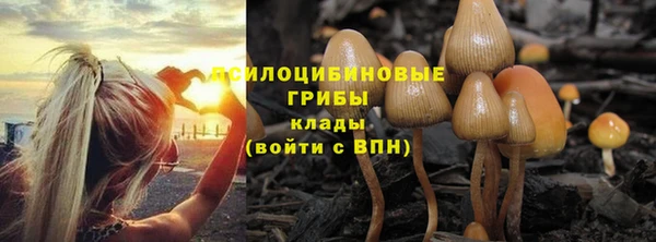 героин Алзамай