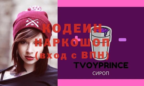 гидра Абаза