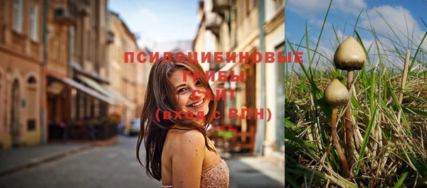 героин Алзамай