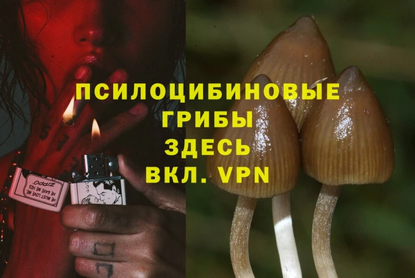тгк Абинск