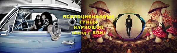 гидра Абаза